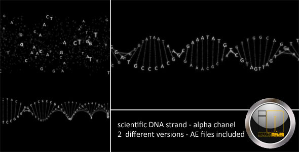 DNA-Strang
