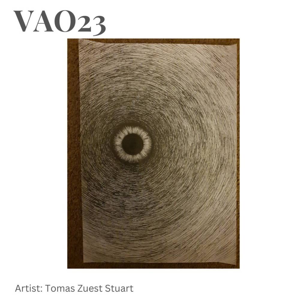 #VAO23 Entry 2421 | Tomas Zuest