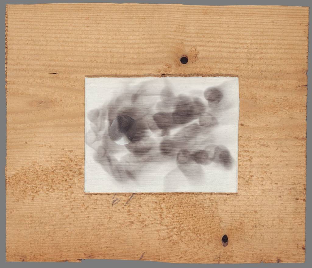 Wolfgang Paalen, L'autophage