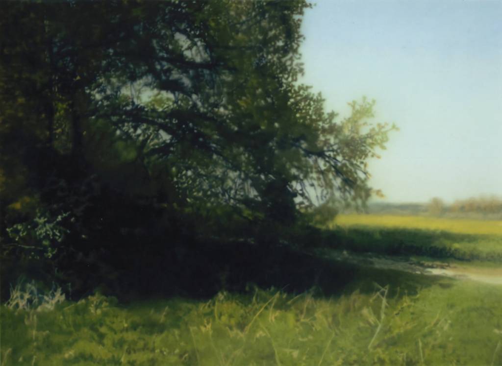 Gerhard Richter Buche