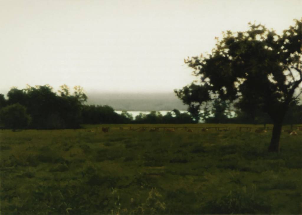 Gerhard Richter Laacher Wiese