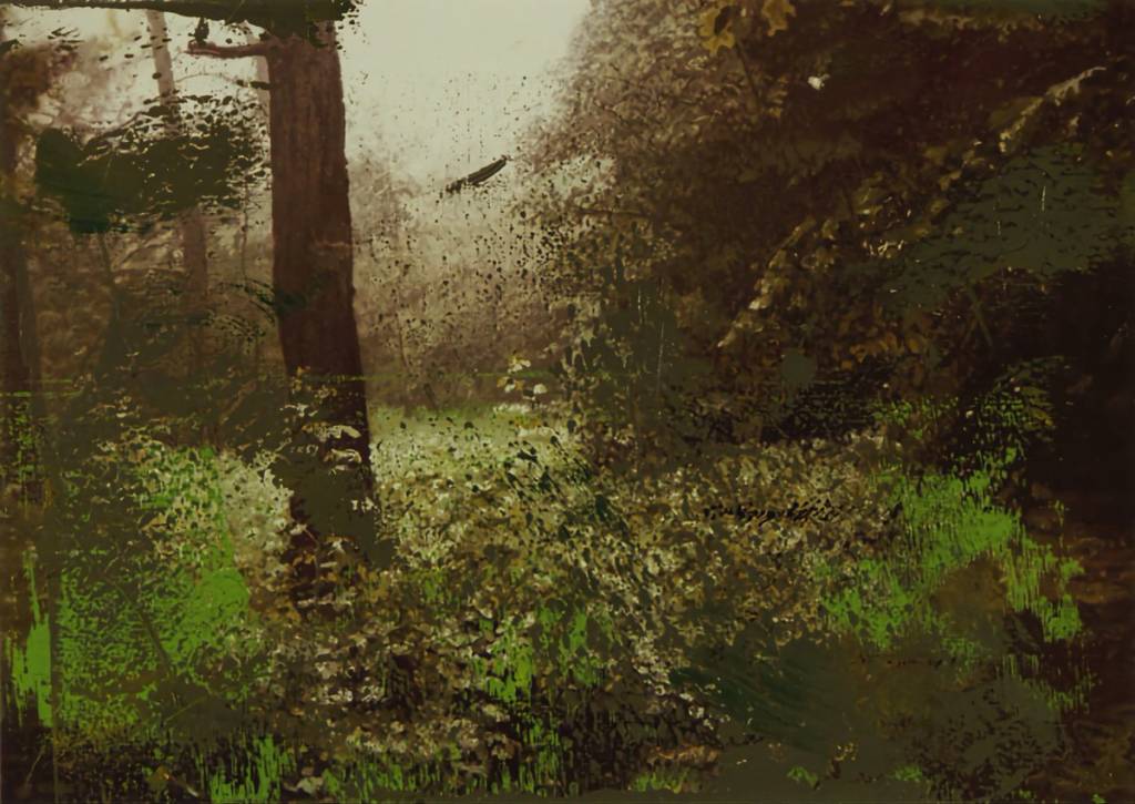 Gerhard Richter Lichtung