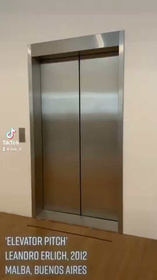 ‘Elevator Pitch’ (2012) by Leandro