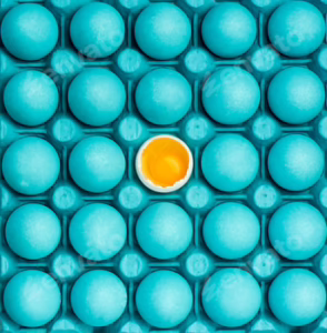 Minimal visual art design with eggs