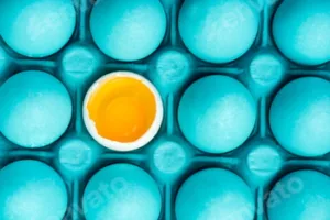 Open egg with yolk close view
