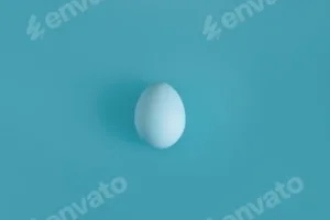 White egg on a light blue background in the center.