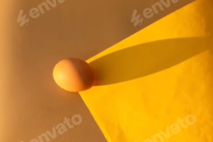 yellow egg on the yellow background in center. Design, visual art, minimalism. Sunshine with hard sh