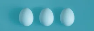 Three White chicken eggs on a blue background in the center.