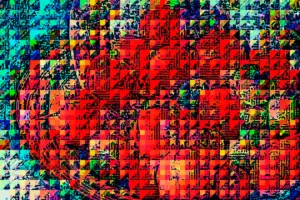 Tomatoes 004