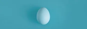 White egg on a light blue background in the center.