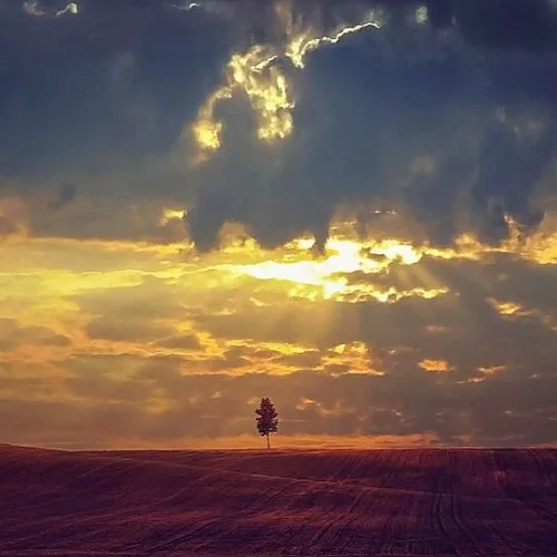 Jesus Lord, My Best Love Thou Art (cover)