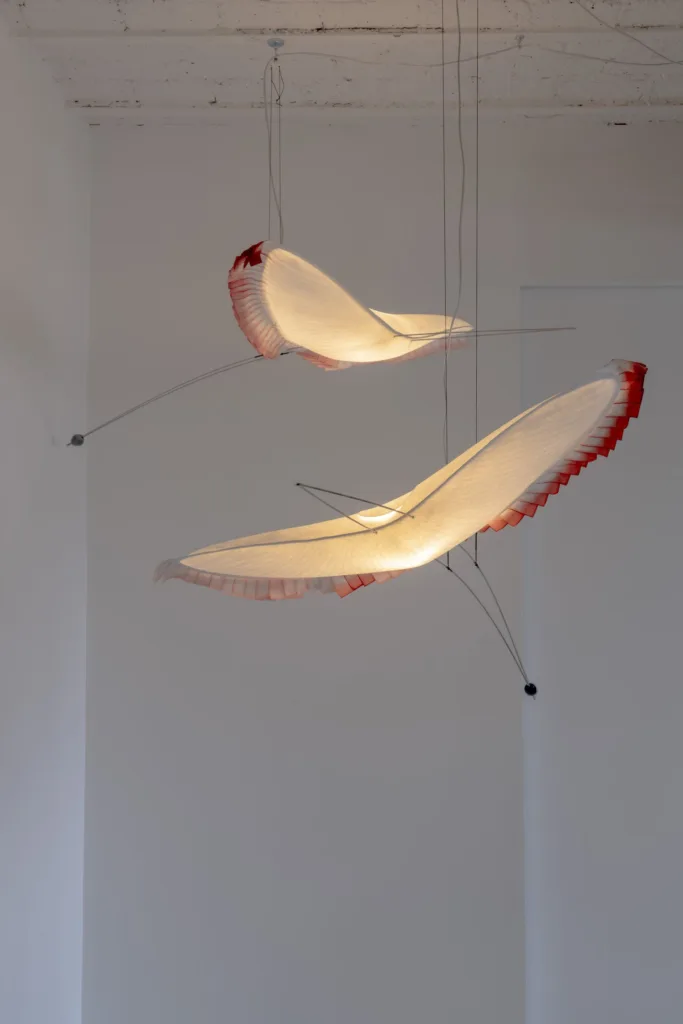 Céline Wright — SWADOH 48 f21cc1c91511c2f1a21848c24a66bc4c