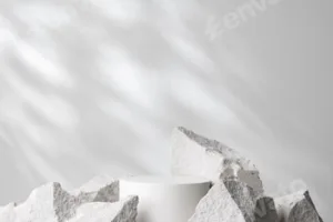 A minimalistic display featuring a smooth white cylinder surrounded by rough gray stone fragments