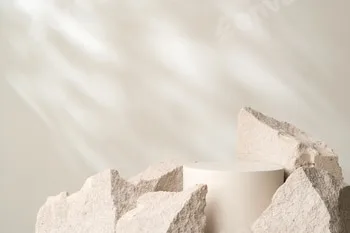 A minimalistic display featuring a smooth white cylinder surrounded by rough gray stone fragments 48 A minimalistic display featuring a smooth white cylinder surrounded by rough gray stone fragments