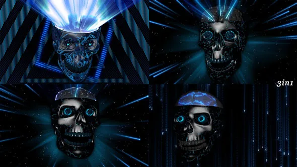 Digital Skull 24 Digital Skull