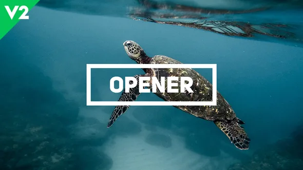 Fast Opener 50 Fast Opener