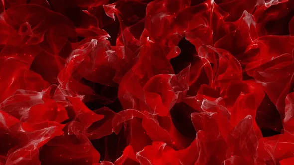 Red Silk Cloth