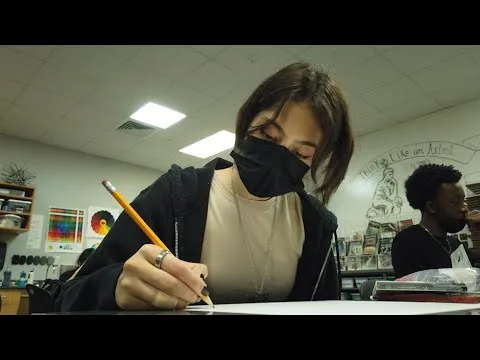 Visual Arts Electives Video