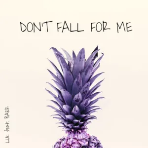 Luk feat. BAER - Don't Fall For Me (remix cover summer chill out song)