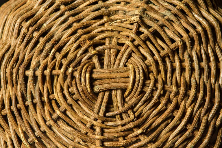 Cipó da Serra das Viúvas 1 Cipó da Serra das Viúvas