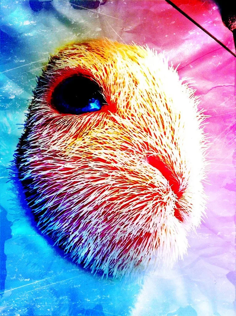 Echigo-Tsumari Art Triennial 2012 / 越後妻有トリエンナーレ2012