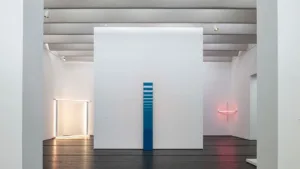 Modern and Contemporary Art Installation 2020–2021