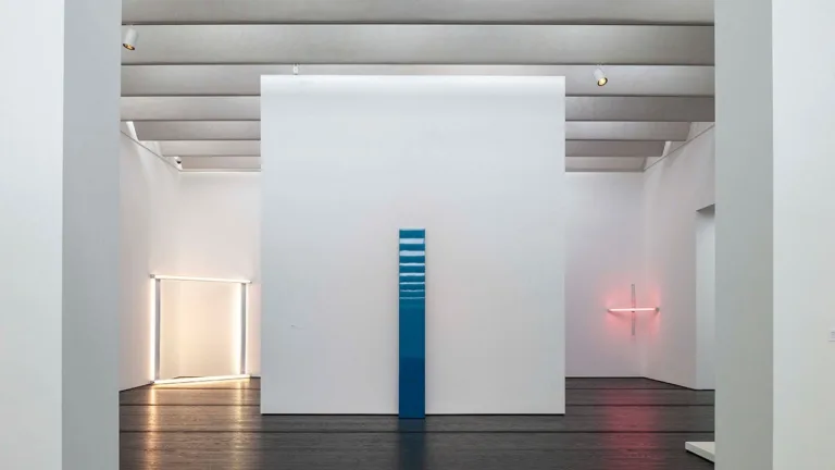 Modern and Contemporary Art Installation 2020–2021