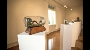 SAME I nEVER WAS - contemporary art exhibition . Carl KENZ