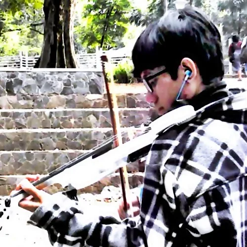 Senbonzakura (Violin Techno Cover)