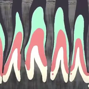 new era_the art69 club(Nulbarich cover )mykuma,rework