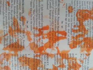 mixed media play sometimes soothes the savage beast