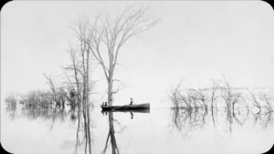 Alexander Henderson – Art and Nature | Photography Exhibition