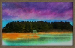 Birds Eye View of Bird Blind