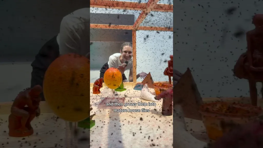 Flies can PAINT?!🤮🪰John Knuth at Hollis Taggart #artreview #contemporaryart #artexhibiton #gallery 18 Flies can PAINT?!🤮🪰John Knuth at Hollis Taggart #artreview #contemporaryart #artexhibiton #gallery