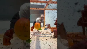 Flies can PAINT?!🤮🪰John Knuth at Hollis Taggart #artreview #contemporaryart #artexhibiton #gallery