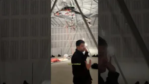 Massive Umbilical machine #art