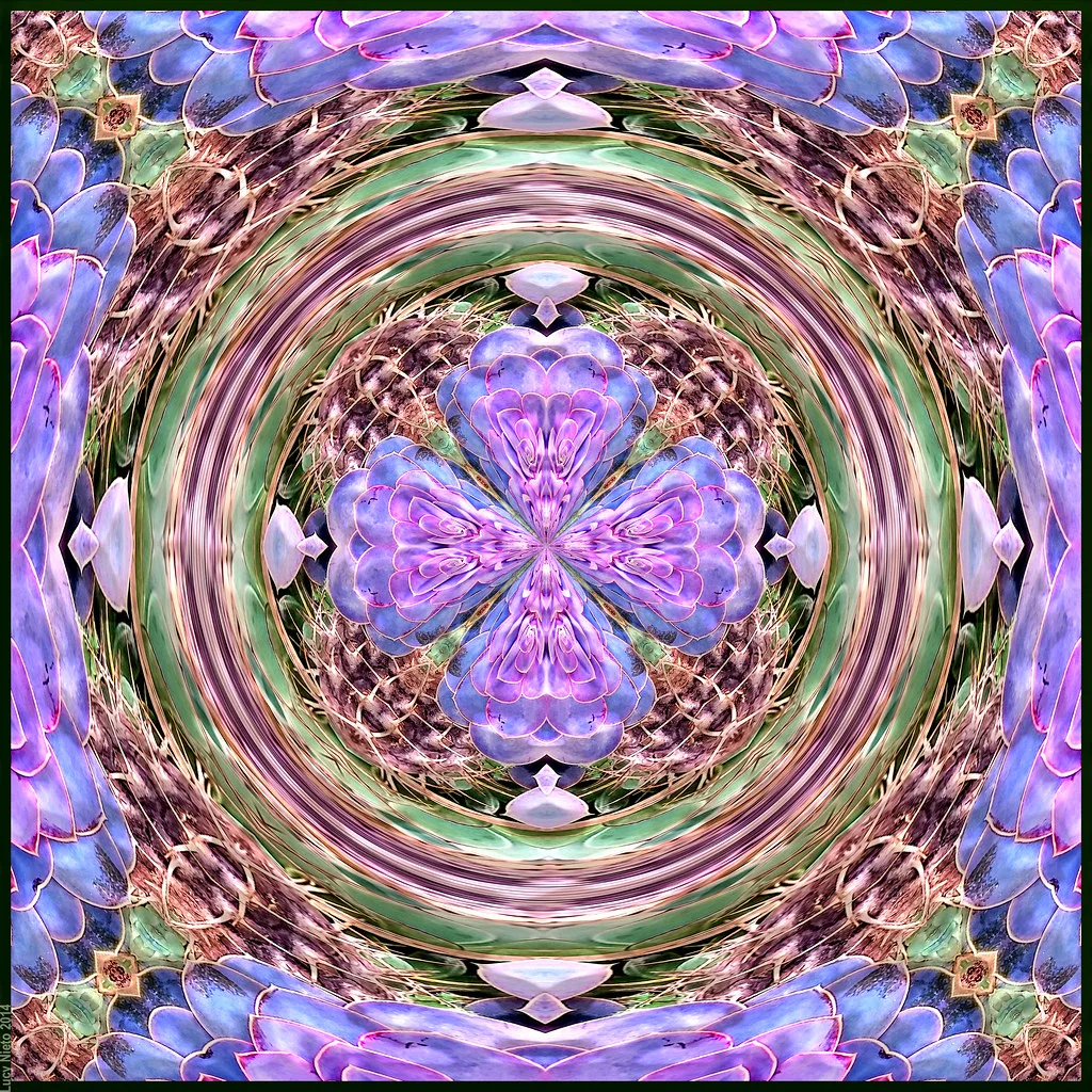 Sergio plantas - SLP Flickr 16099552482 141230 115820 FF