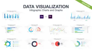 Data Visualization - Infographic Charts and Graphs