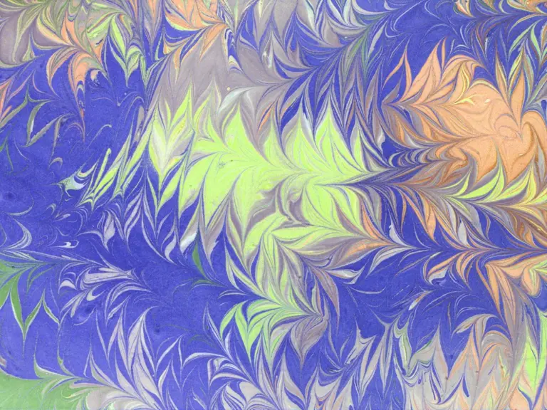 Pettinato spinato 2 Pettinato spinato