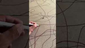 This Bug Made Art 😱( _@patriciotejedo )