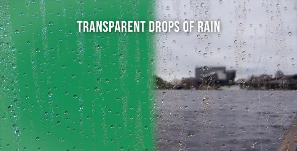 Transparent Drops Of Rain