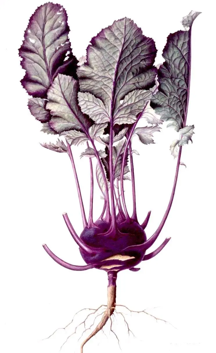 bfda07d87a0ffeb296fed2e1f2d6ba67