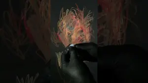 Broken Dimensions, Oil pastel 22x30"