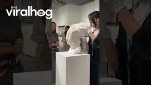 Mind-Bending Paper Sculptures || ViralHog