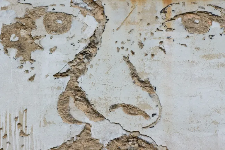 Retrato en pared - II