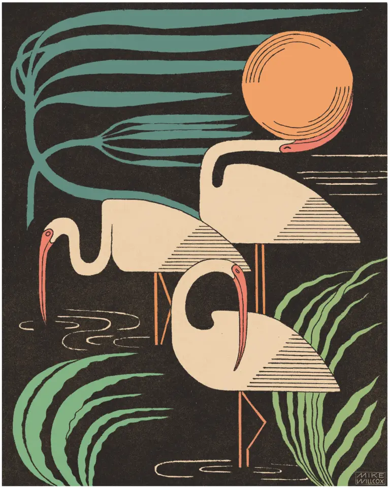 Ibis & Hurricane 3 72a004040bdcfdd035f33482c9a75735