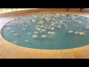 Floating bowls - Contemporary art exhibition place bellecour Lyon
