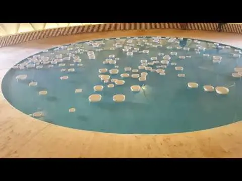 Floating bowls - Contemporary art exhibition place bellecour Lyon