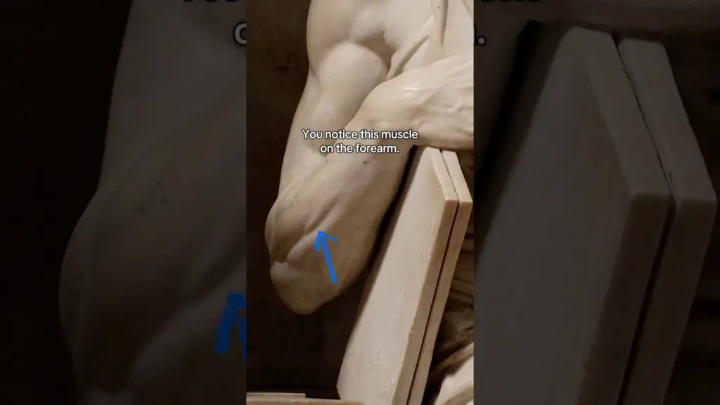 Michelangelo infused life into stone #history #art 37 Michelangelo infused life into stone #history #art